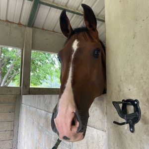 Meet your Posher, Cristina